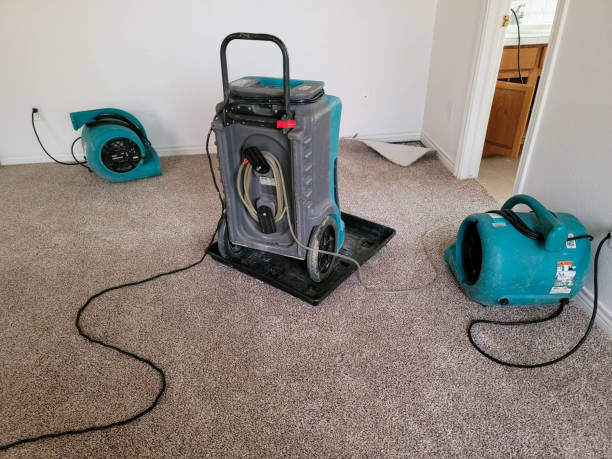 Best Ceiling water damage repair  in Byram Center, NJ