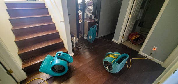 Best Mold removal after water damage  in Byram Center, NJ