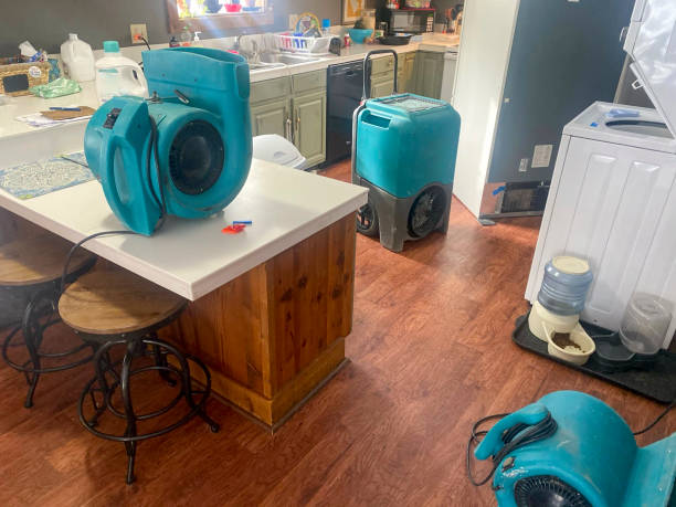 Best Basement water damage restoration  in Byram Center, NJ