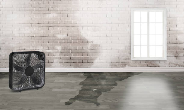 Best Local water damage restoration  in Byram Center, NJ