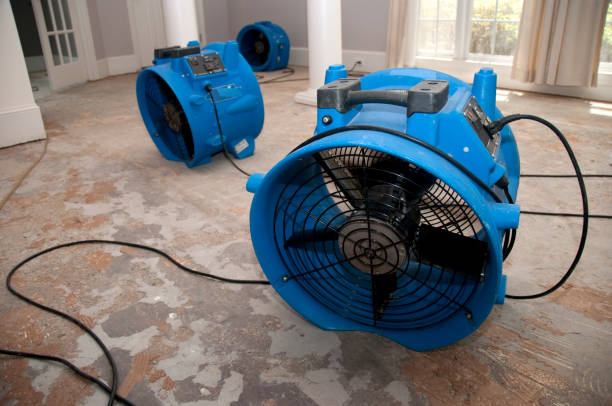 Best 24/7 water damage repair  in Byram Center, NJ