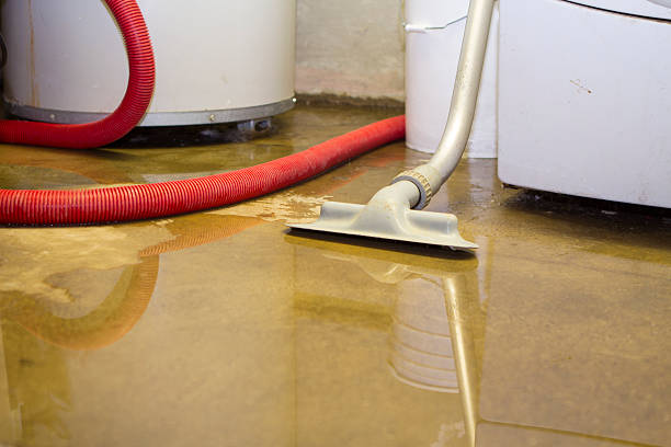 Best Flooded house restoration  in Byram Center, NJ