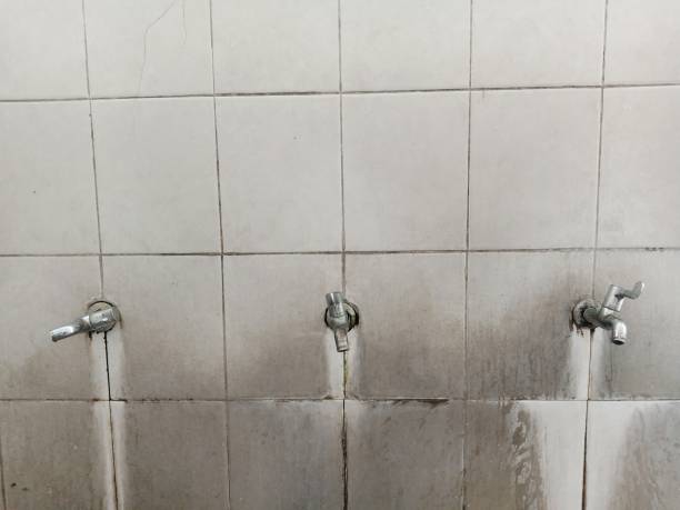 Best Mold removal after water damage  in Byram Center, NJ