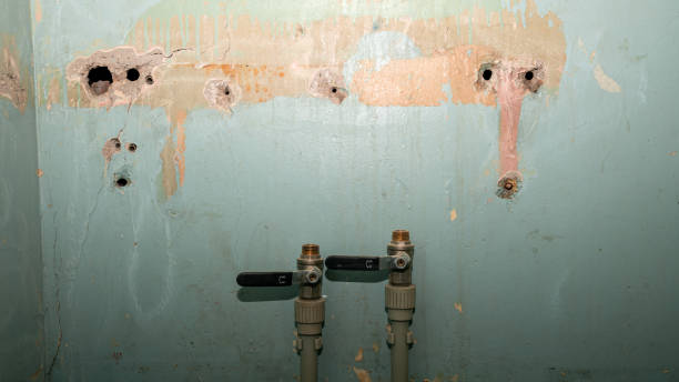Best Water damage restoration specialists  in Byram Center, NJ