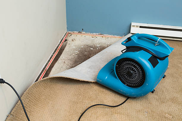 Best Carpet water damage restoration  in Byram Center, NJ